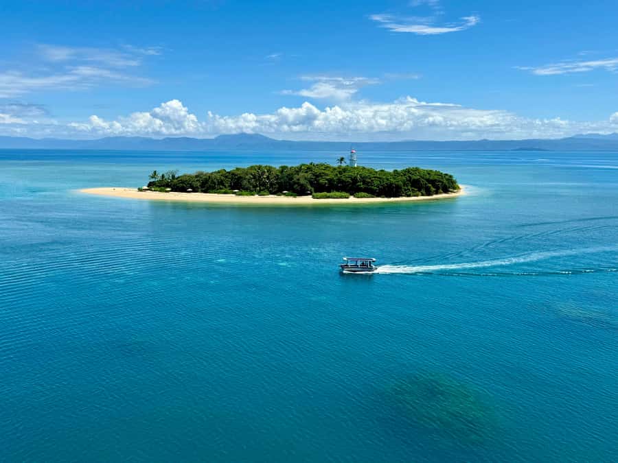 Port Douglas: Reef & Low Isles Cruise on Luxury Catamaran - Meals Built for a Full-Day Reef Cruise (Not Just Snacks)