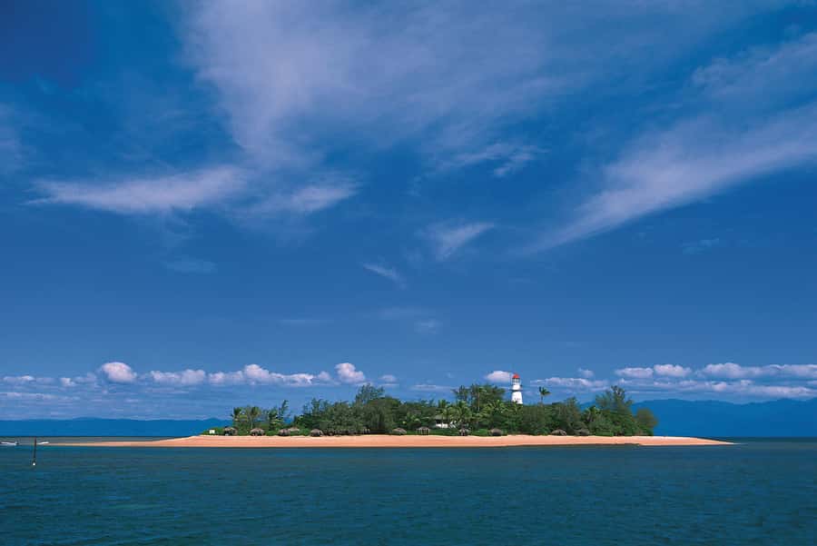Port Douglas: Reef & Low Isles Cruise on Luxury Catamaran - Price and Value: What You Get for $240 Per Person
