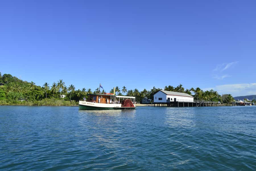 Port Douglas: River Cruise, Crocodile Spotting, Drink/ Snack - Key highlights you should know