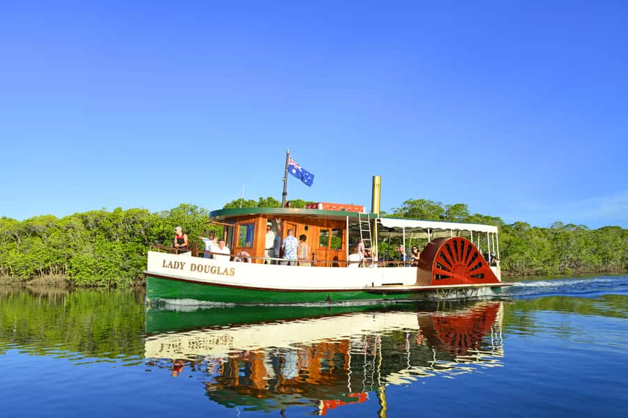 Port Douglas: River Cruise, Crocodile Spotting, Drink/ Snack - Calm mangrove cruising in Port Douglas: the best kind of nature time