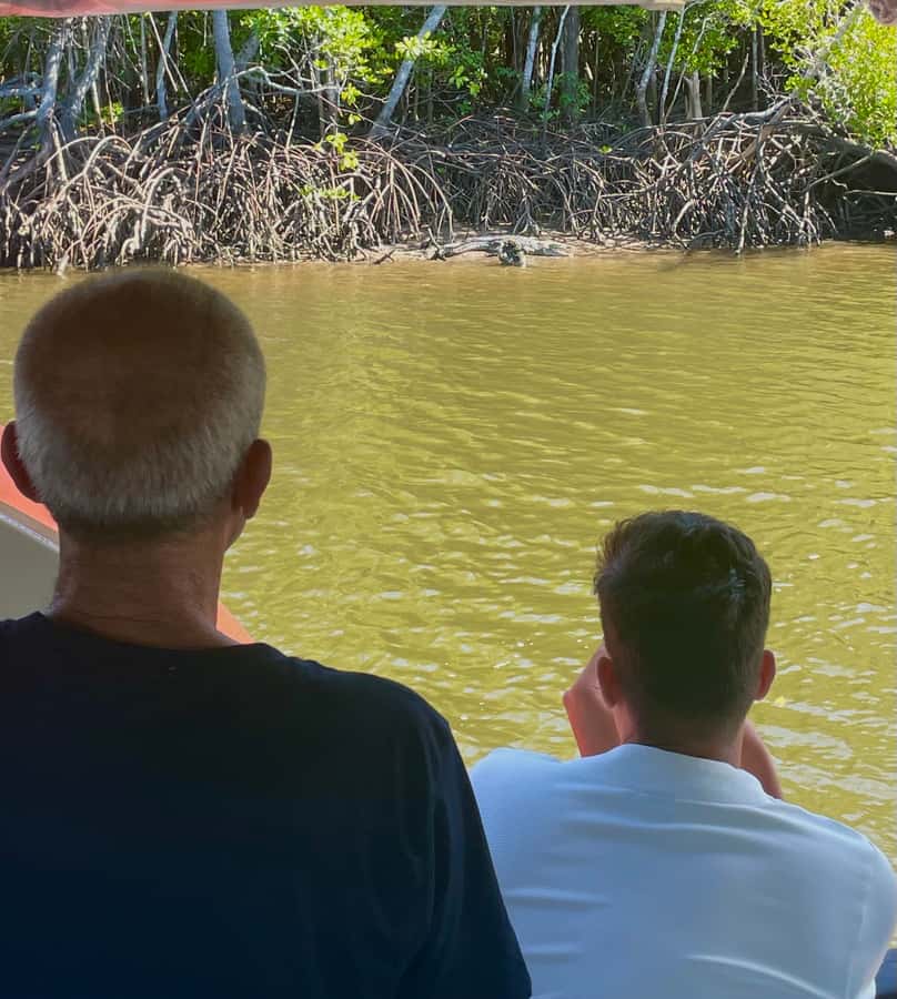 Port Douglas: River Cruise, Crocodile Spotting, Drink/ Snack - Wildlife beyond crocs: birds, fish, and quick surprises