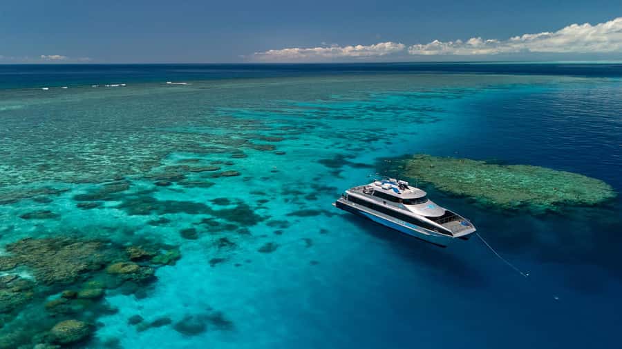 Port Douglas: Silversonic Great Barrier Reef Dive & Snorkel - Silversonic Catamaran Comfort: why the boat run matters