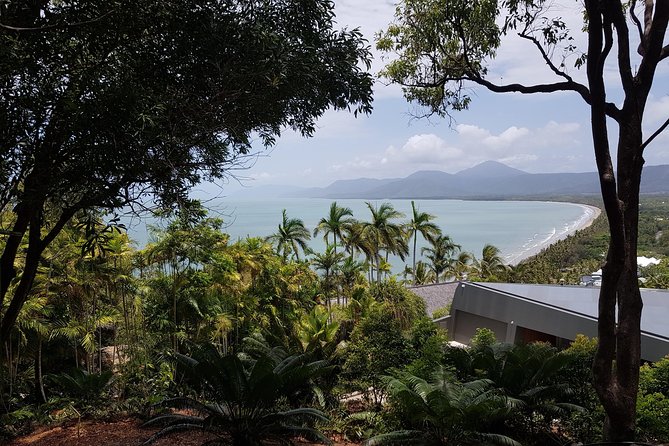 Port Douglas Sunday Markets Day Tour - Flagstaff Hill Lookout: The Fast Photo Stop
