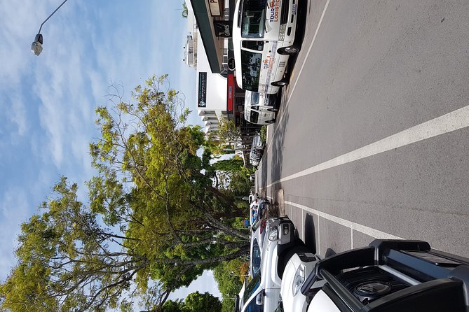 Port Douglas Sunday Markets Day Tour - Optional Market Add-Ons: Palm Cove, Holloways Beach, and Rusty’s in Cairns