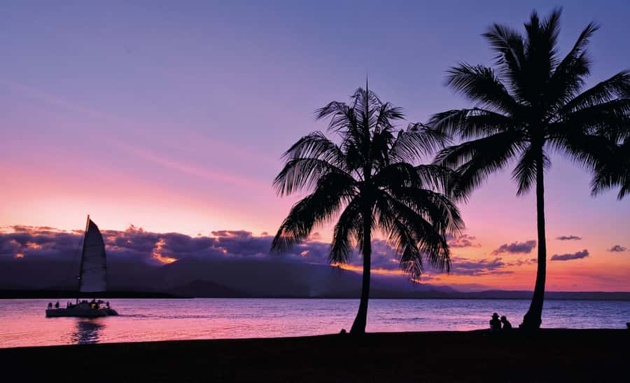 Port Douglas: Sunset Sailing Cruise on Luxury Catamaran - Canapes onboard: Hot and cold snacks, not a sad afterthought