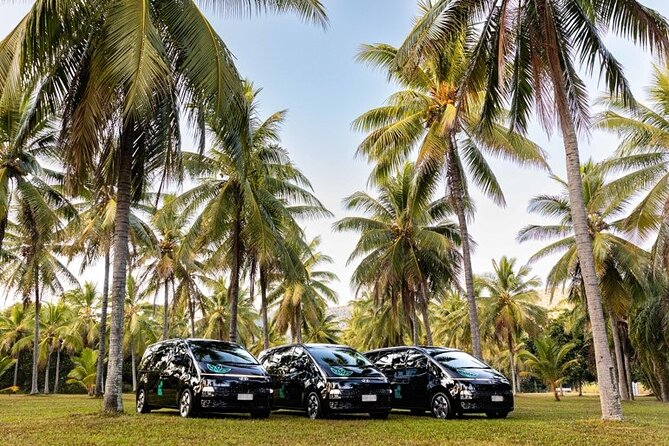 Port Douglas To Cairns Airport Shared Shuttle - Comfort details that actually matter before a flight