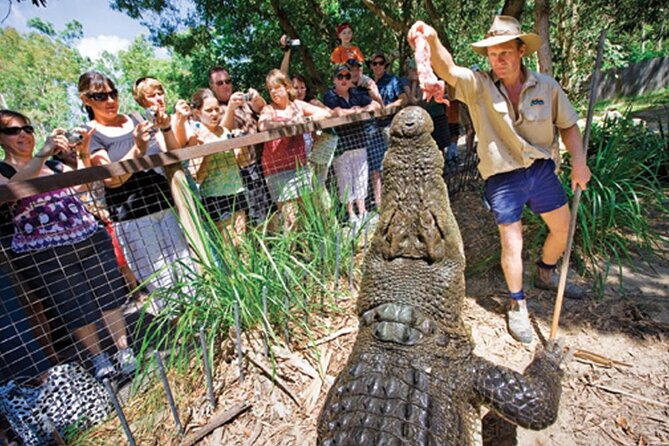 Port Douglas To Cairns Airport Shared Shuttle - Local driving style: the human touch from RodgersRides