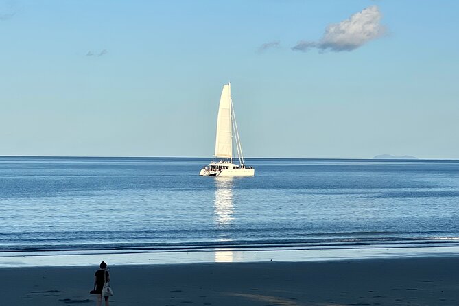 Port Douglas To Cairns Airport Shared Shuttle - How the ride actually plays out, from pickup to T2 drop-off