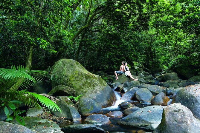 Port Douglas to Cairns ONE WAY Private Transfer 6 pax - Timing, pickup hours, and making flight arrivals feel calm