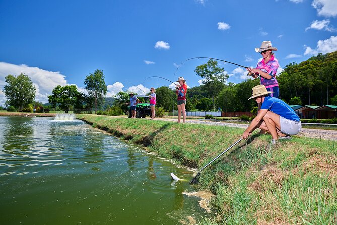 Port Douglas Tour Hook-A-Barra with Lunch - How the day flows from Port Douglas to the Barramundi Farm