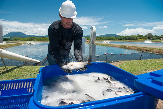 Port Douglas Tour Hook-A-Barra with Lunch - The one-hour fishing session: safe, guided, and realistic