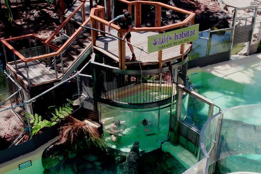 Port Douglas: Wildlife Habitat Swim with Crocodiles - Key Things That Make This CrocArena Swim Special