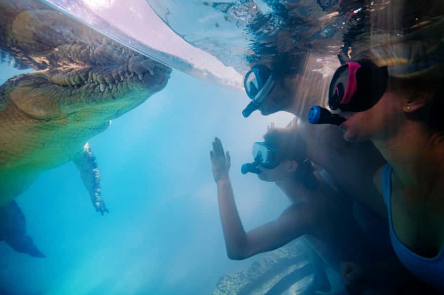 Port Douglas: Wildlife Habitat Swim with Crocodiles - The pool design details: 180-degree underwater viewing at 2.3 meters