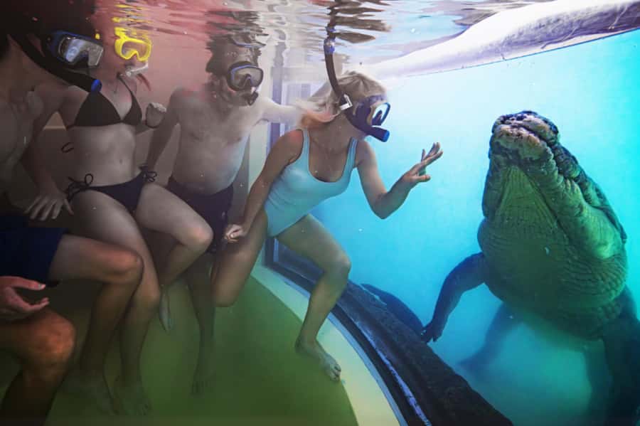 Port Douglas: Wildlife Habitat Swim with Crocodiles - After the swim: 5 habitat walk and the calmer side of Wildlife Habitat