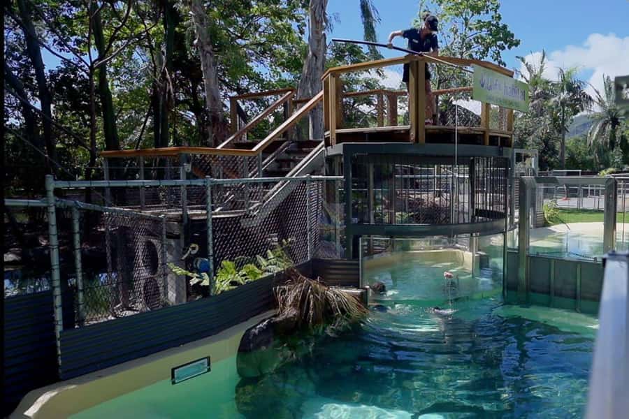 Port Douglas: Wildlife Habitat Swim with Crocodiles - The safety briefing and CrocArena rules: your best part of the day is being ready