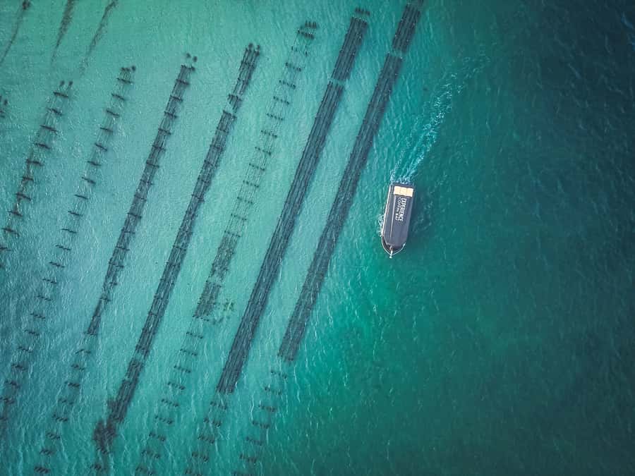 Port Lincoln: Coffin Bay Seafood, Wine, and Nature Day Trip - Key things that make this trip worth your time