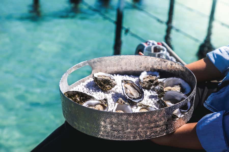 Port Lincoln: Coffin Bay Seafood, Wine, and Nature Day Trip - Coffin Bay National Park: beaches like Almonta Beach plus wildlife breaks
