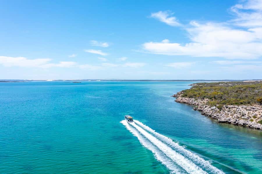 Port Lincoln: Coffin Bay Seafood, Wine, and Nature Day Trip - Who should book this day trip, and who should look elsewhere