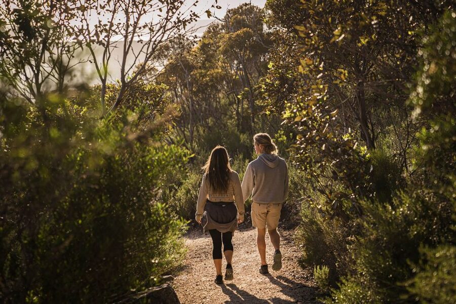 Port Lincoln Day Tour: Eyre Peninsula - Winters Hill lookout: finishing with one last wow