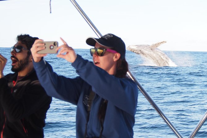 Port Stephens 3 Hour Whale and Dolphin Watch Cruise - Port Stephens Whale Watching Starts With Better Positioning