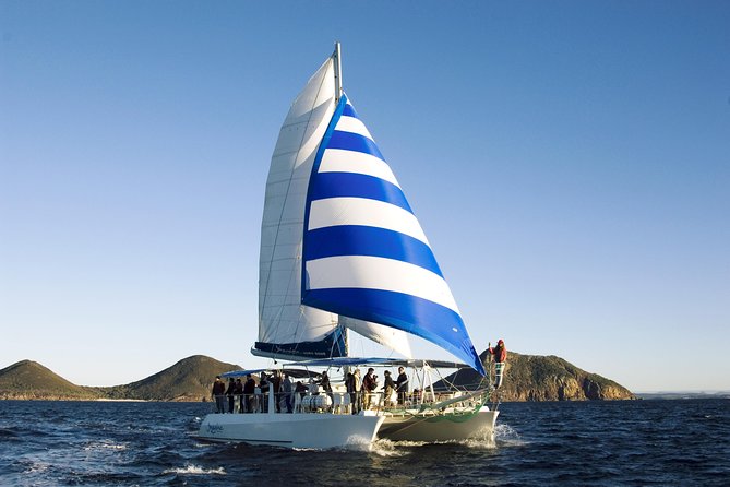 Port Stephens 3 Hour Whale and Dolphin Watch Cruise - Group Size, Timing, and How Busy It Feels