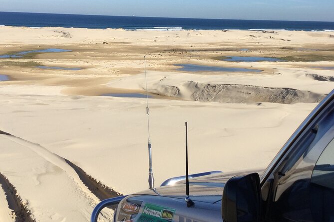 Port Stephens, Beach and Sand Dune 4WD Passenger Tour - Wildlife Spotting: Whales, Koalas, and What to Watch for