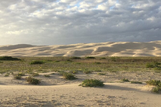 Port Stephens, Beach and Sand Dune 4WD Passenger Tour - What the Tour Includes, and What You Need to Handle Yourself