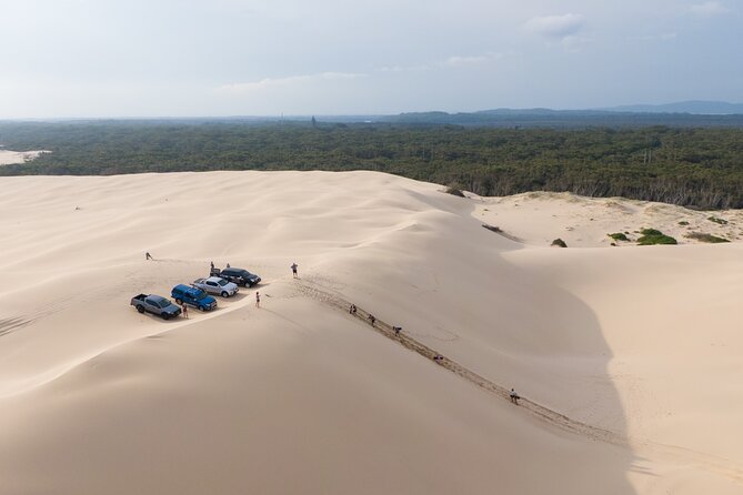 Port Stephens, Beach and Sand Dune 4WD Tag-Along Tour - Key Points You’ll Care About