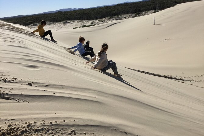 Port Stephens, Beach and Sand Dune 4WD Tag-Along Tour - Port Stephens 4WD Tag-Along: How This Self-Drive Day Actually Works