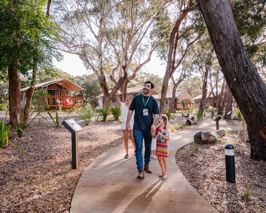 Port Stephens: Koala Sanctuary General Admission Ticket - Sanctuary Story Walk, 250m of Koala Habitat Learning