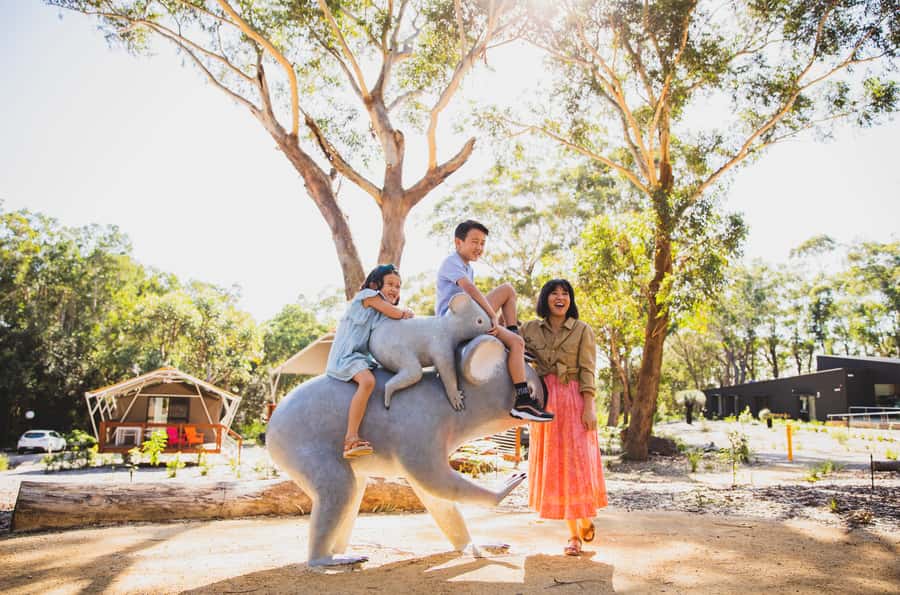 Port Stephens: Koala Sanctuary General Admission Ticket - Fat Possum Kiosk for Snacks and Conservation-Focused Souvenirs