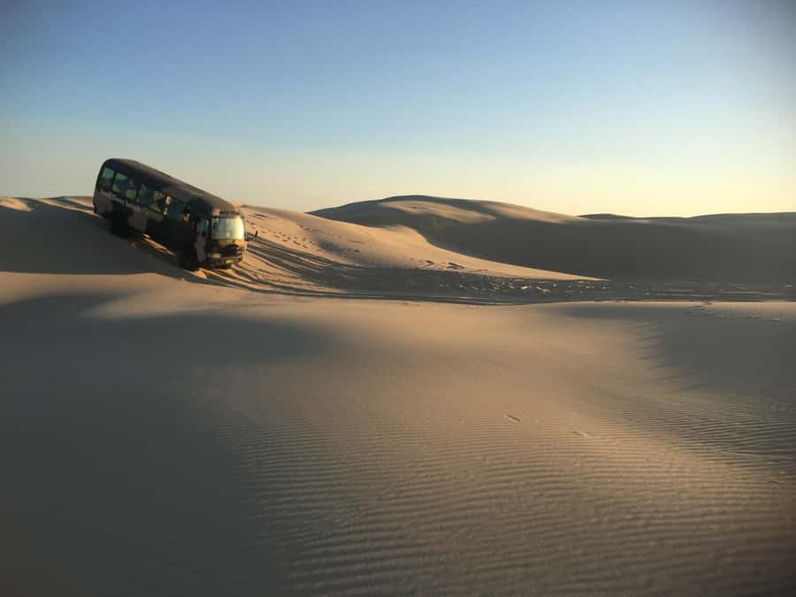 Port Stephens: Unlimited Sandboarding with 4WD Dune Transfer - Key Highlights You’ll Actually Care About