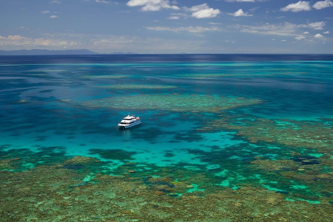 Poseidon Outer Great Barrier Reef Snorkeling and Diving Cruise from Port Douglas - Agincourt Ribbon Reef and three reef stops, with options for scuba and snorkeling