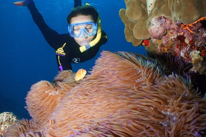 Poseidon Outer Great Barrier Reef Snorkeling and Diving Cruise from Port Douglas - Guided snorkel tour plus reef interpretation with a marine biologist