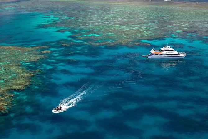 Poseidon Outer Great Barrier Reef Snorkeling and Diving Cruise from Port Douglas - Water access, stinger protection, and how the day stays manageable
