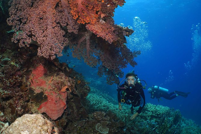 Poseidon Outer Great Barrier Reef Snorkeling and Diving Cruise from Port Douglas - Food and included breaks: why the meals are not just an afterthought