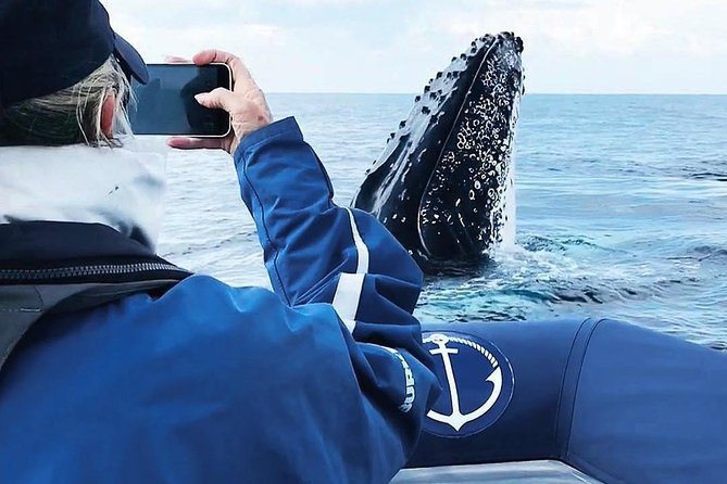 Premier Whale Watching Byron Bay - The short pre-departure routine and safety briefing