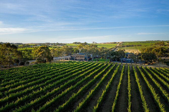 Premium All-Inclusive McLaren Vale Wine and Brew Minibus Tour - The coastal return from Port Noarlunga to Christies Beach