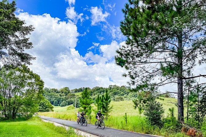 Premium E Bike Hire at the Northern Rivers Rail Trail - Key things I’d plan around