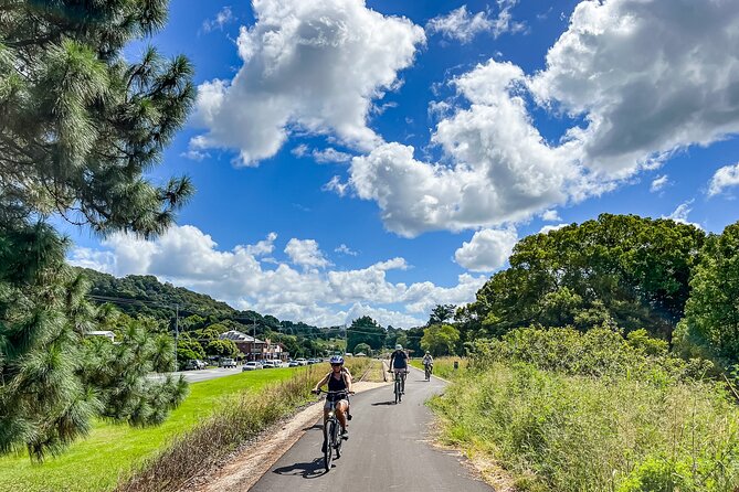 Premium E Bike Hire at the Northern Rivers Rail Trail - Timing that fits real plans: 44km return, 2.5 hours riding, up to 6 hours with the bike