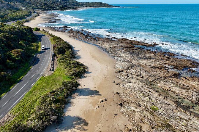 Premium Great Ocean Road Tour IN A Relaxed Way IN Premium Coach - Melba Gully National Park: a quick rainforest reset