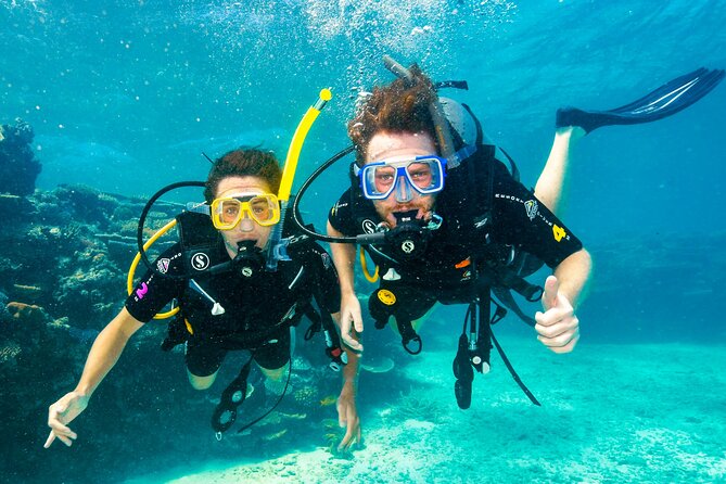 Premium Guided Dive Trip - Outer Great Barrier Reef - Key things I’d watch for