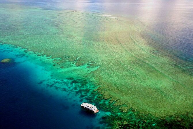 Premium Guided Dive Trip - Outer Great Barrier Reef - Three reef sites, one guided rhythm