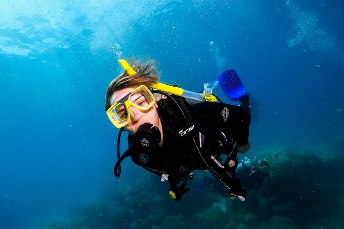 Premium Guided Dive Trip - Outer Great Barrier Reef - What you do in the return trip: fish booklets and logging time