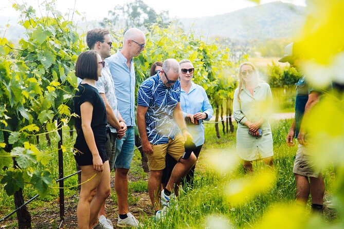 Premium Hunter Valley Wine Tour with Lunch from Sydney - Cheese and chocolate pairings that turn tastings into a meal, not a stop