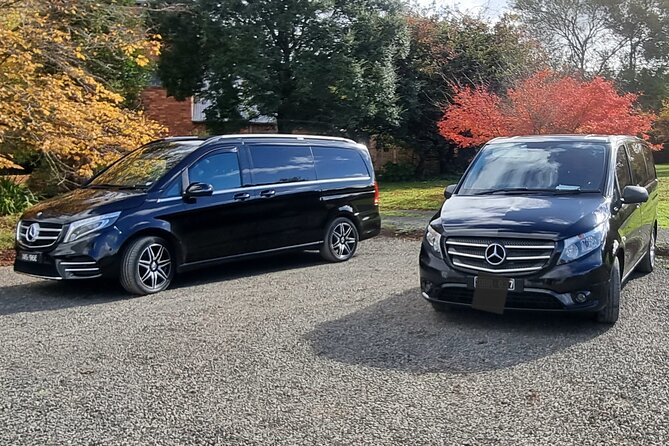 Private and Customised Great Ocean Road and Luxury Tour - Private, customized pacing on the Great Ocean Road