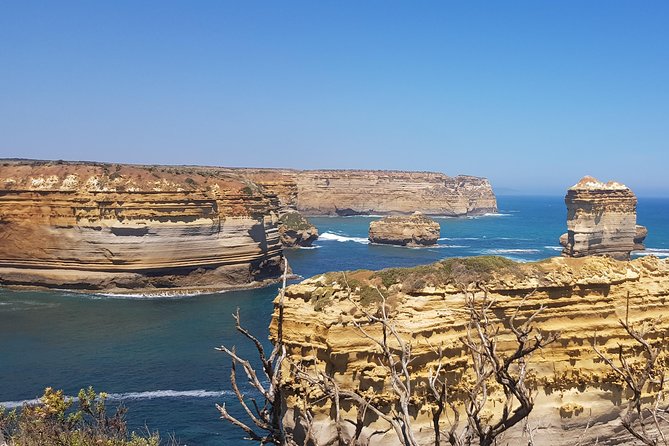 Private and Customised Great Ocean Road and Luxury Tour - Luxury vehicle, child seats, and pick-up that actually works