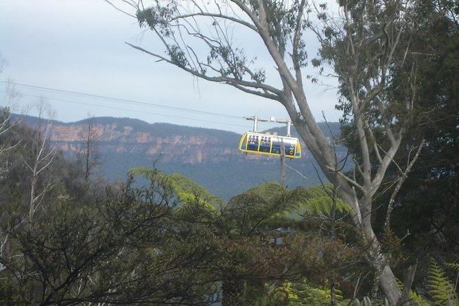 PRIVATE Blue Mountains day tour with local guide. - Scenic World at Extra Cost: How to Decide Without Regret