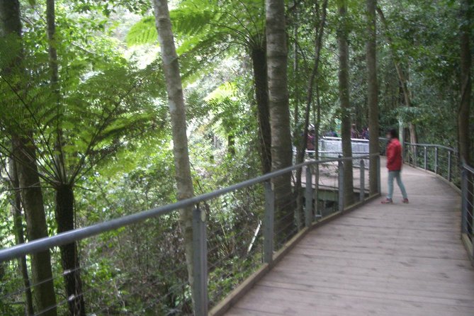 PRIVATE Blue Mountains day tour with local guide. - Featherdale Sydney Wildlife Park: Seeing Native Animals Up Close