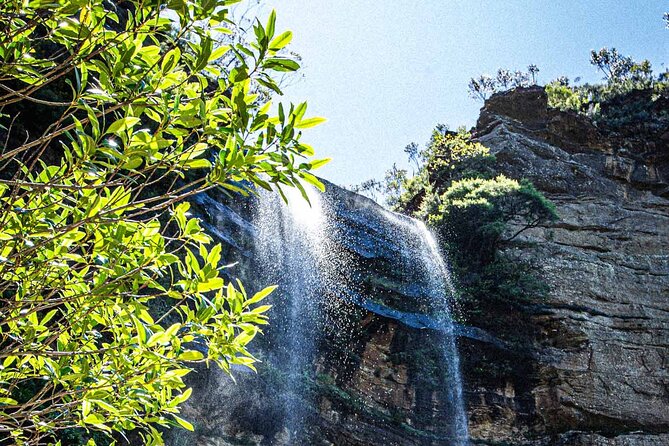 Private Blue Mountains Escape The Crowds Mercedes Tour - Scenic World: worth it if you want an extra dose of Blue Mountains scale
